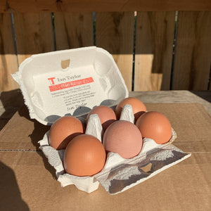 Free Range Eggs - Large