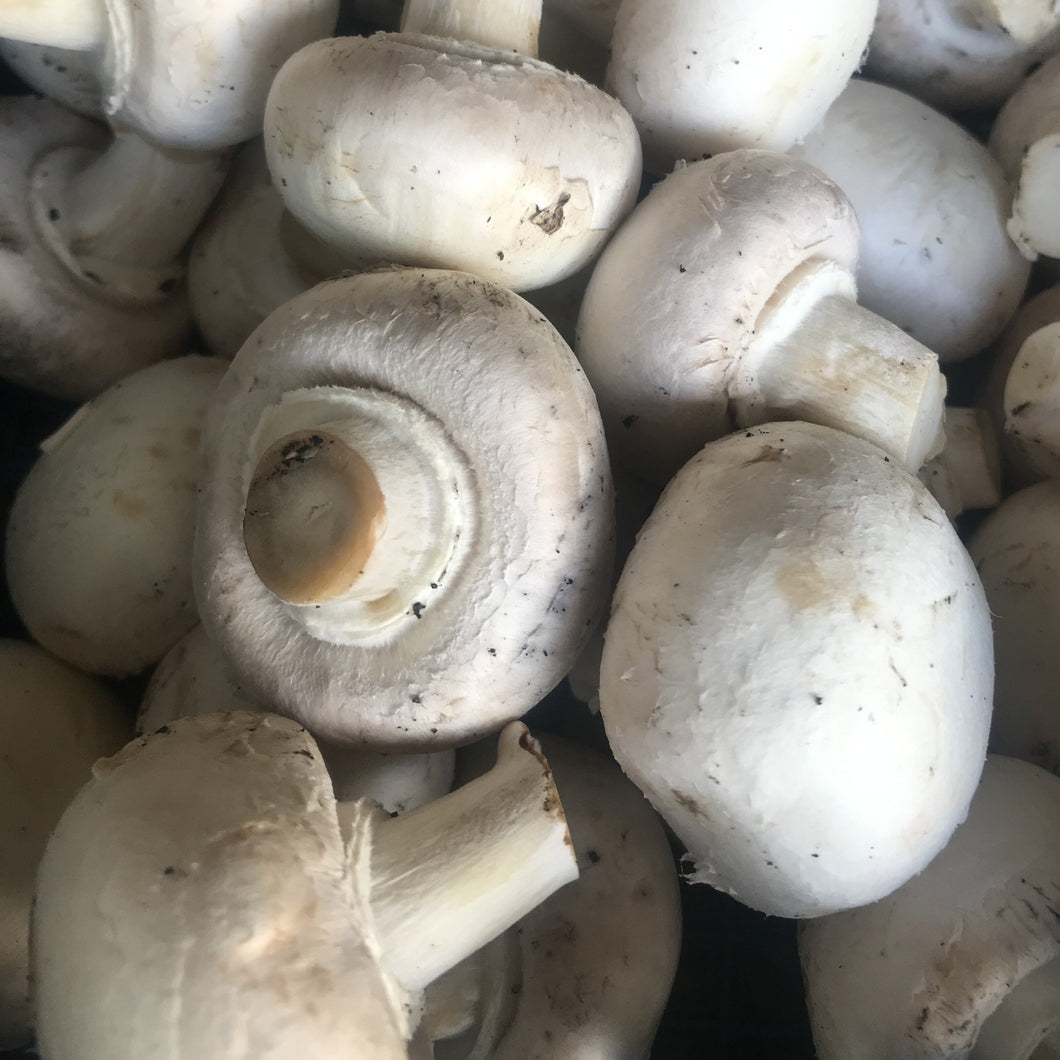 Button Mushrooms 250g