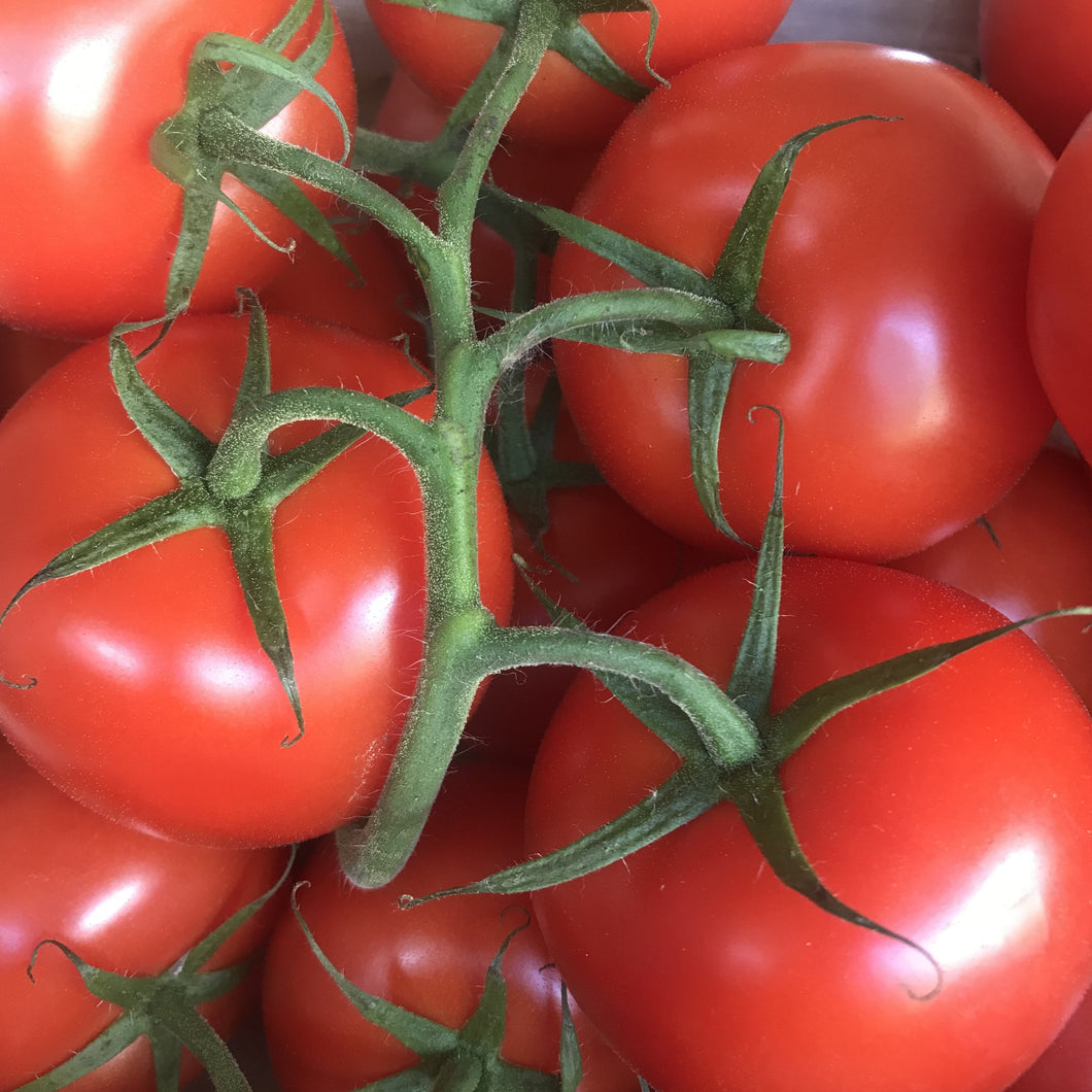 Large Vine Tomatoes 500g