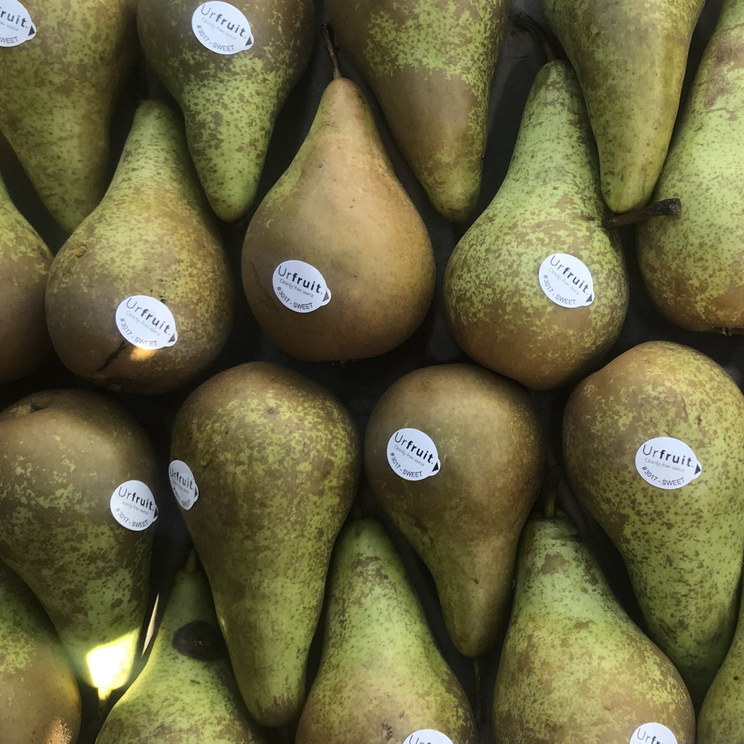 Pears 500g