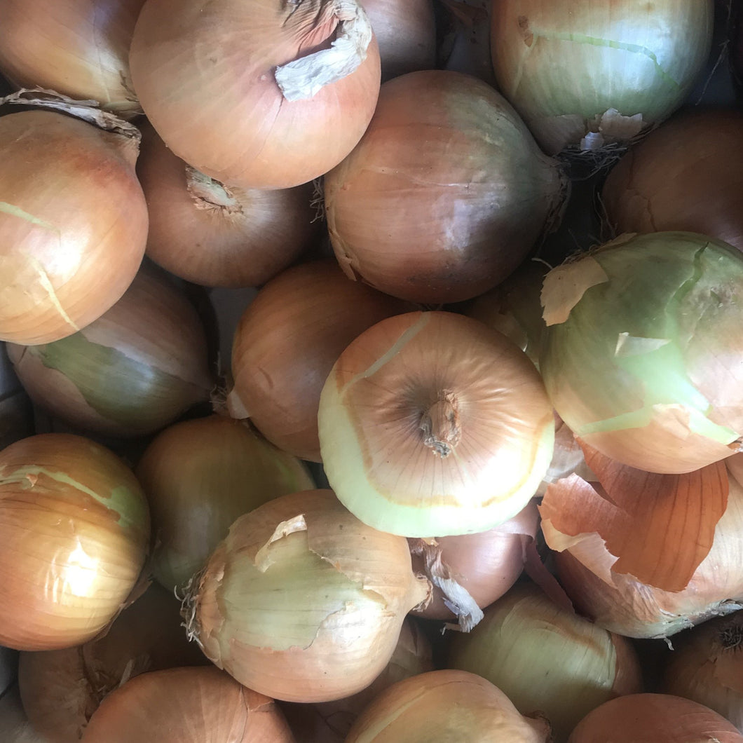 White Onions