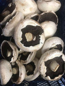 Flat Mushrooms 250g