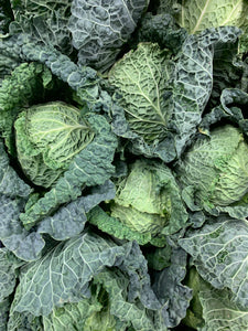 Savoy Cabbage