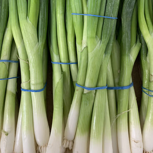 Spring Onions Bunch